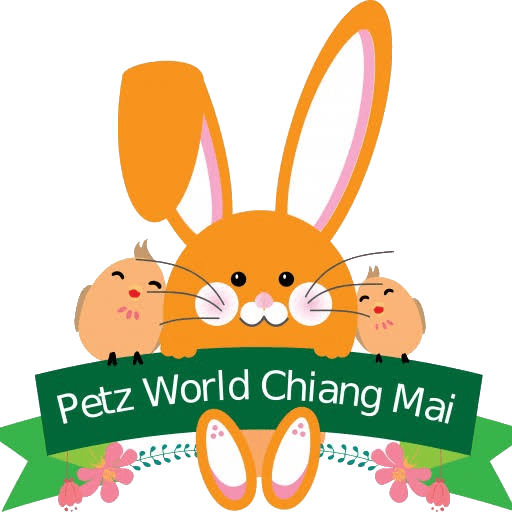 Pet Equity Co.,Ltd.